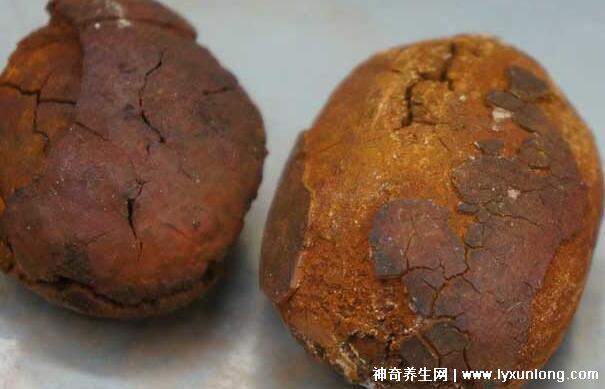 牛黃是什么東西多少錢一克，牛膽囊的膽結(jié)石500元/克(圖片)