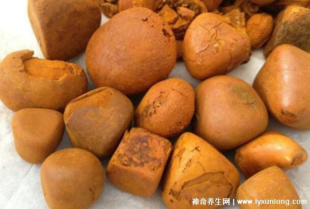 牛黃是什么東西多少錢一克，牛膽囊的膽結(jié)石500元/克(圖片)