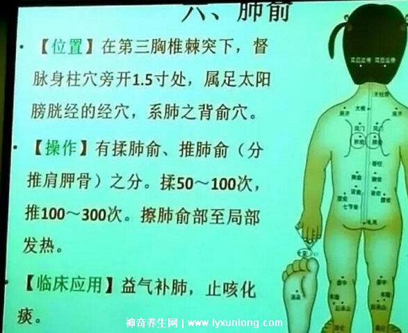 穴位肺俞的準確位置圖片和功效，2個找肺俞最笨方法(止咳化痰)