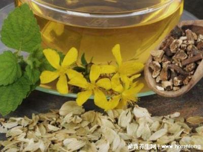 黃芪15g白術(shù)10g防風(fēng)10g，可用于治療氣虛感冒(附泡茶方法)