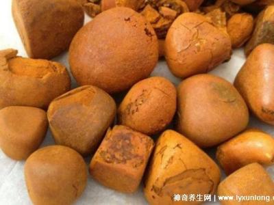 牛黃是什么東西多少錢一克，牛膽囊的膽結石500元/克(圖片)