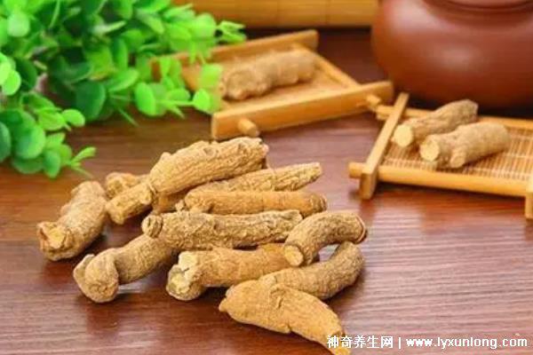 藏雪參的功效與作用吃法，預防高血糖/延年益壽(可泡水喝/煲湯)