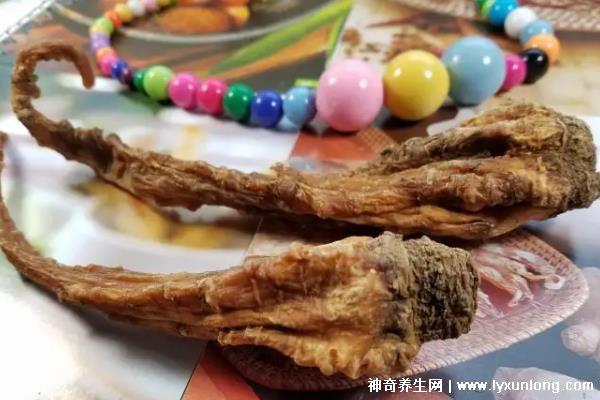 藏雪參的功效與作用吃法，預防高血糖/延年益壽(可泡水喝/煲湯)