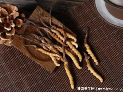 夏枯草專治十種病，甲狀腺腫/黃疸型肝炎/高血壓(功效主治)