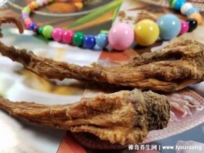 藏雪參的功效與作用吃法，預(yù)防高血糖/延年益壽(可泡水喝/煲湯)