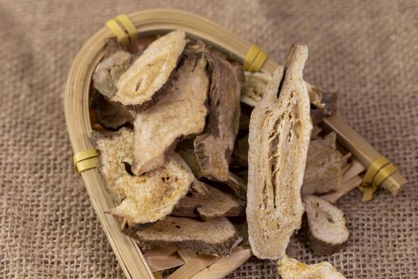 健脾祛濕吃什么中成藥