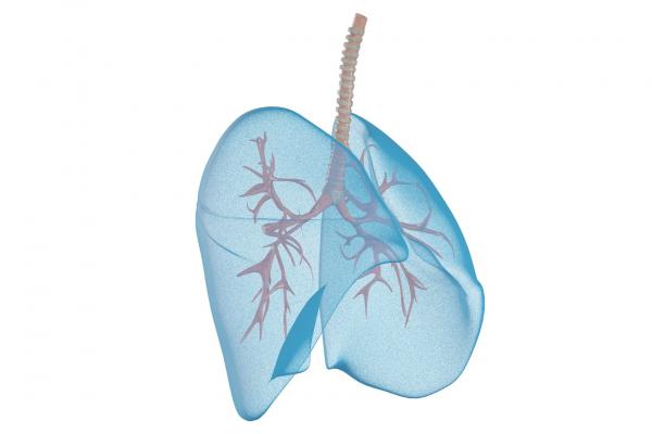 肺經不通的癥狀