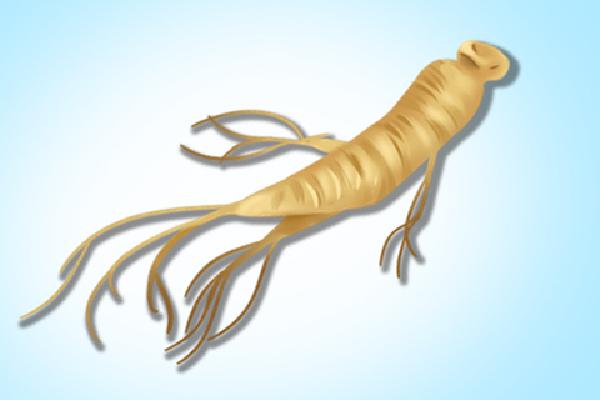 野山參的功效和吃法-易網(wǎng)健康<a href=http://m.henggaotouzi.com/jkys/ target=_blank class=infotextkey>養(yǎng)生</a>網(wǎng) 野山參的功效和吃法