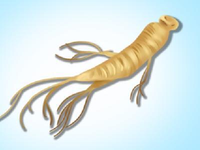 野山參的功效和吃法