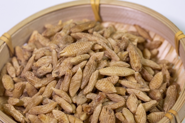 補腎常用的中藥有哪些