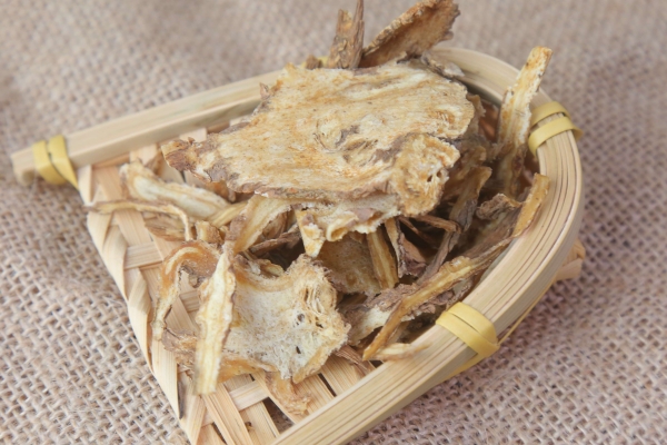 老年人服用當歸有何益處