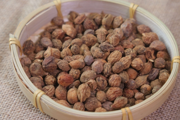 益智仁對女性更年期有幫助嗎