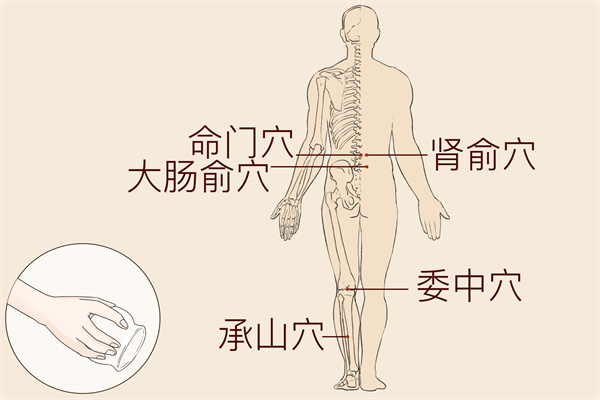 陰陵泉準(zhǔn)確位置-易網(wǎng)<a href=http://m.henggaotouzi.com/ target=_blank class=infotextkey>健康養(yǎng)生</a>網(wǎng) 陰陵泉準(zhǔn)確位置