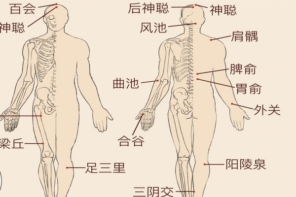 神庭的準確位置和功效-易網健康養生網 神庭的準確位置和功效